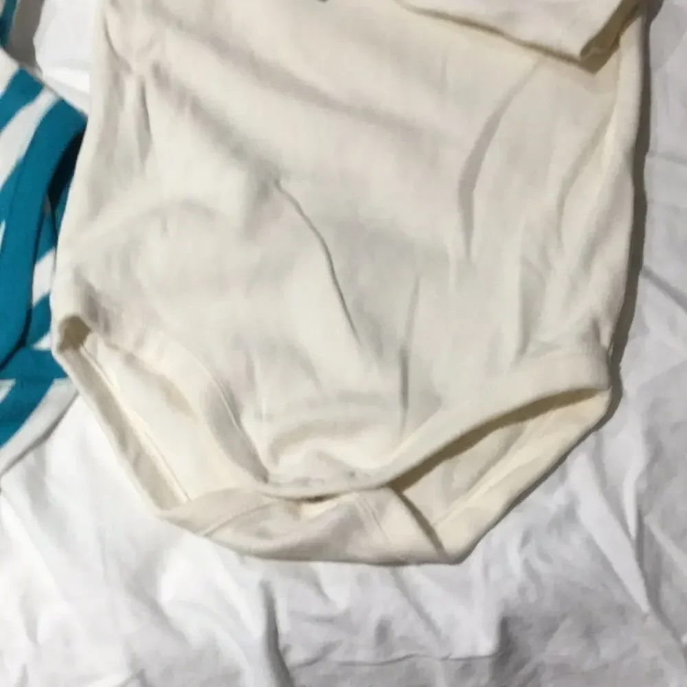 Gymboree onesies 18-24 NWT perfect